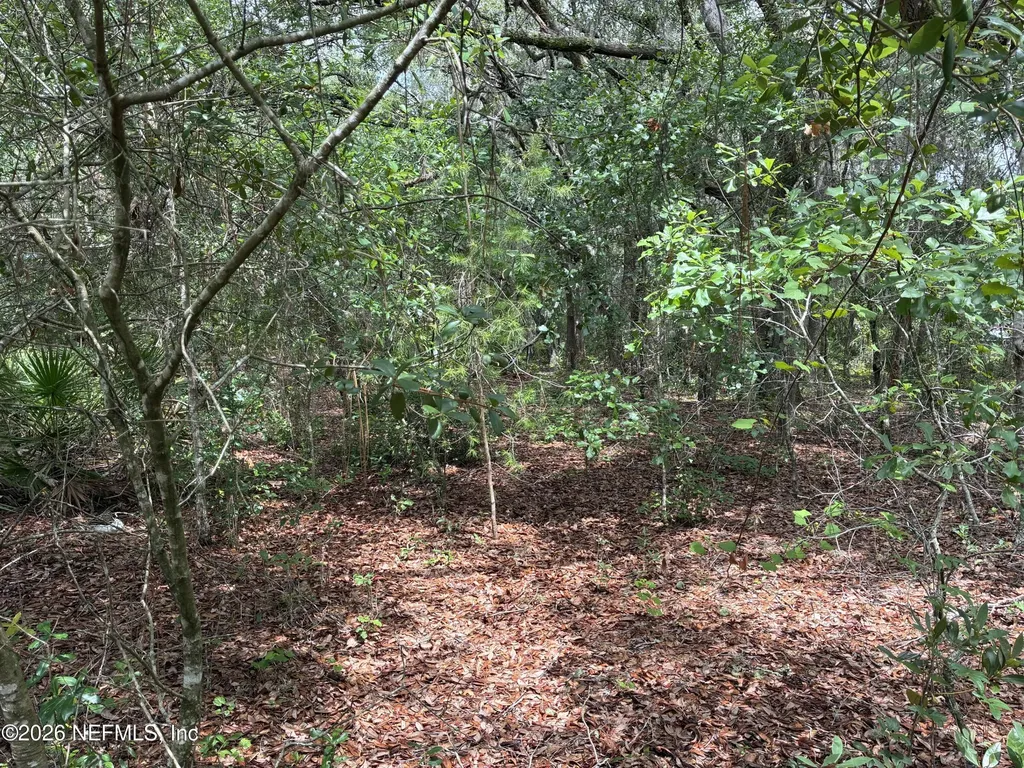 107 Laurel Drive Hawthorne FL 32640
