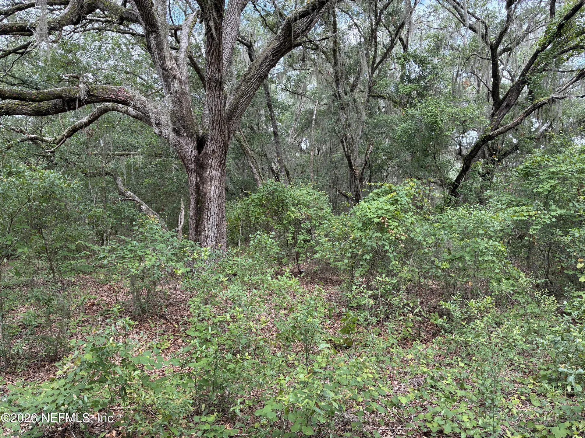 107 Laurel Drive Hawthorne FL 32640