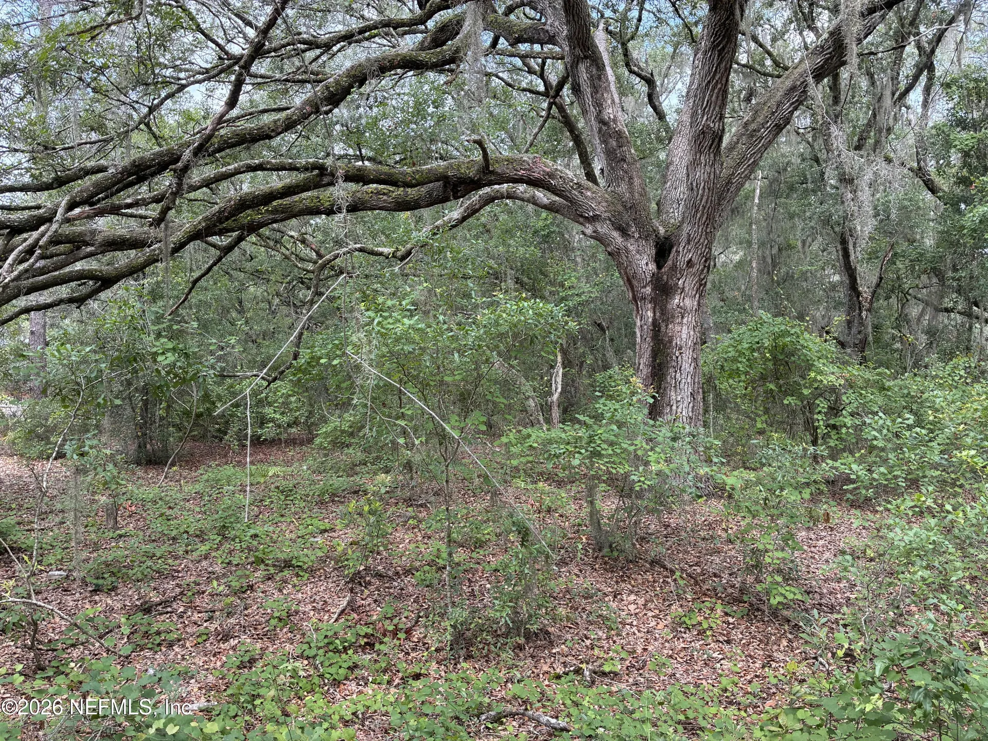 107 Laurel Drive Hawthorne FL 32640