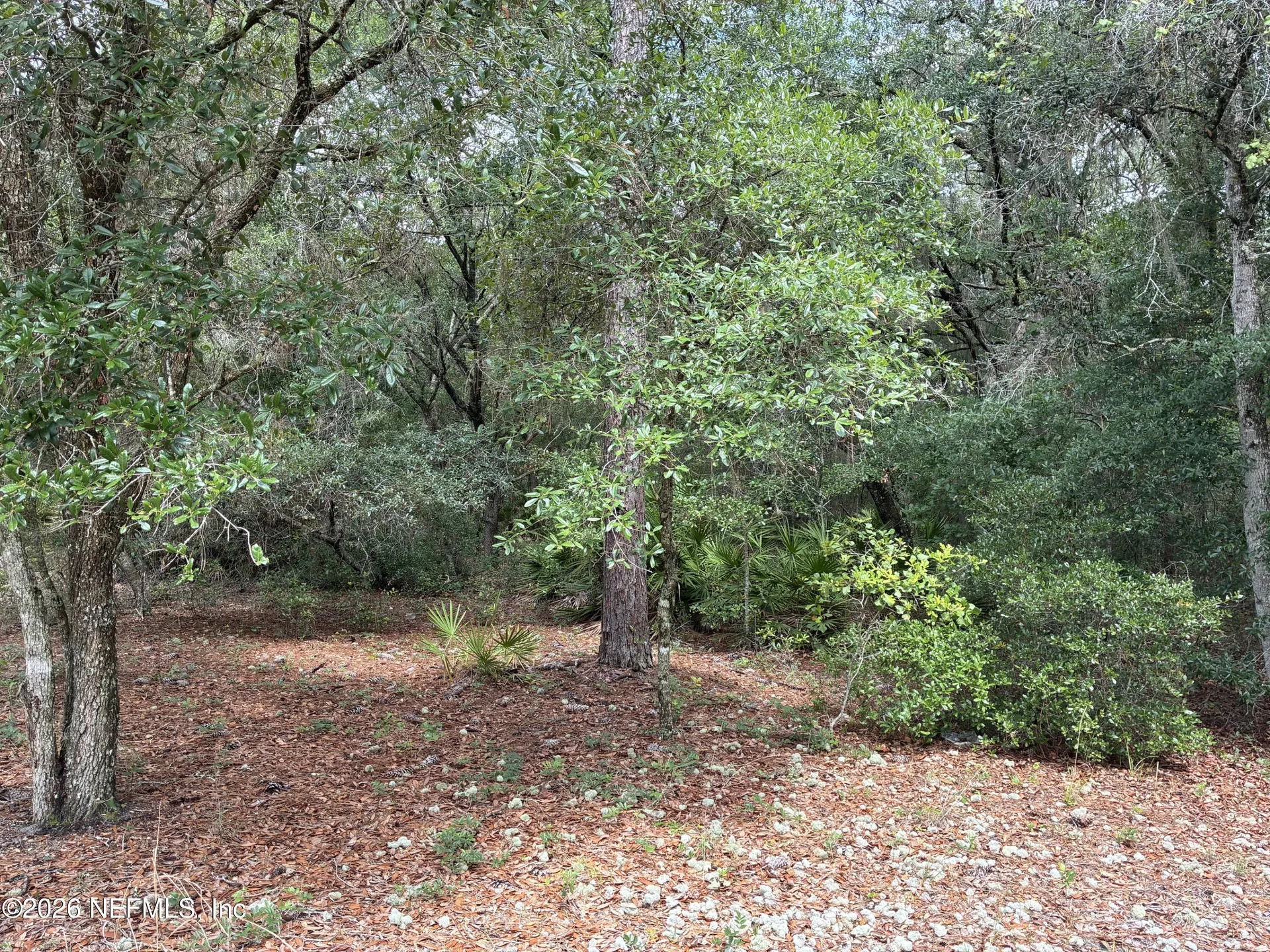 107 Laurel Drive Hawthorne FL 32640