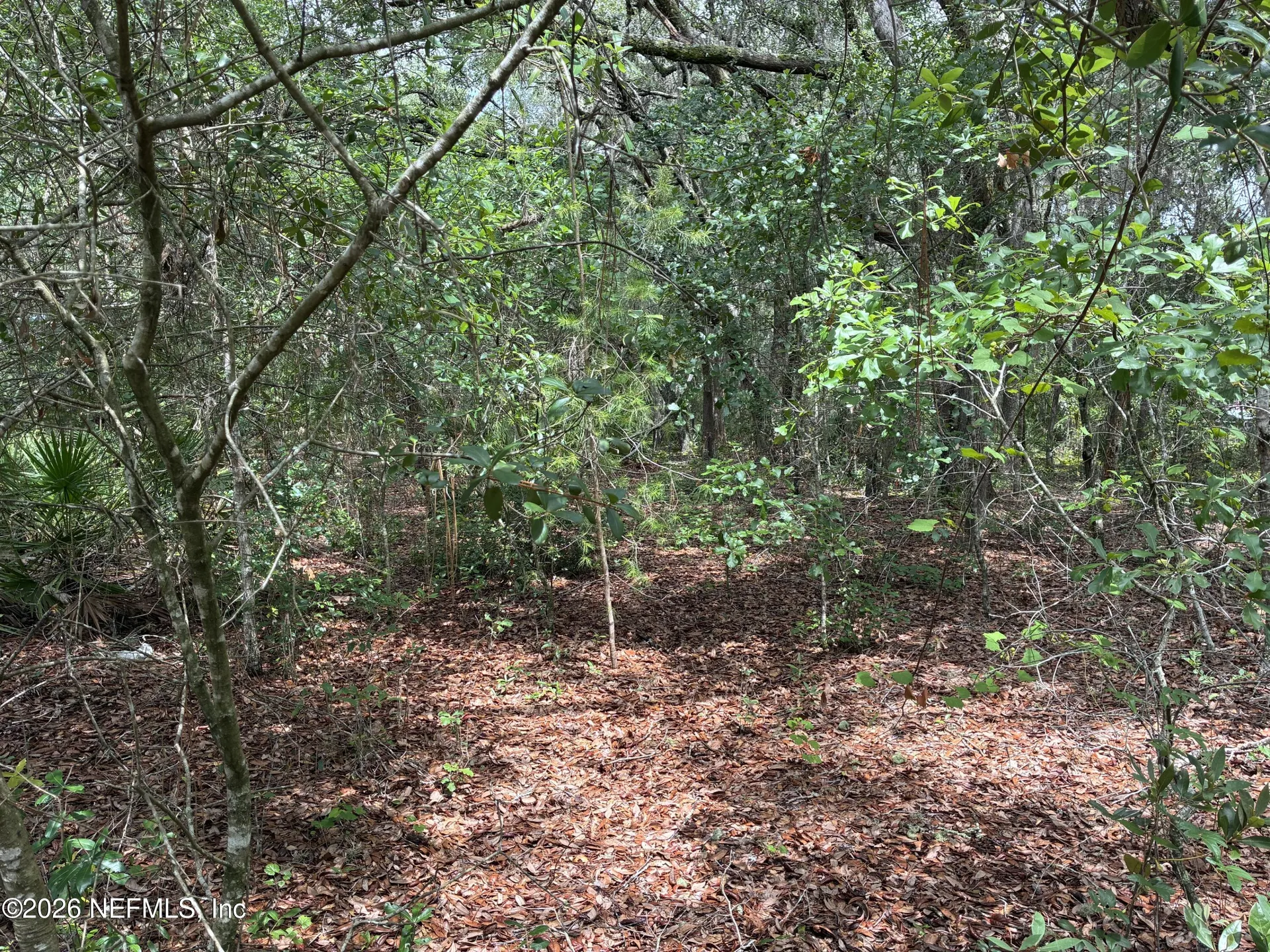 107 Laurel Drive Hawthorne FL 32640