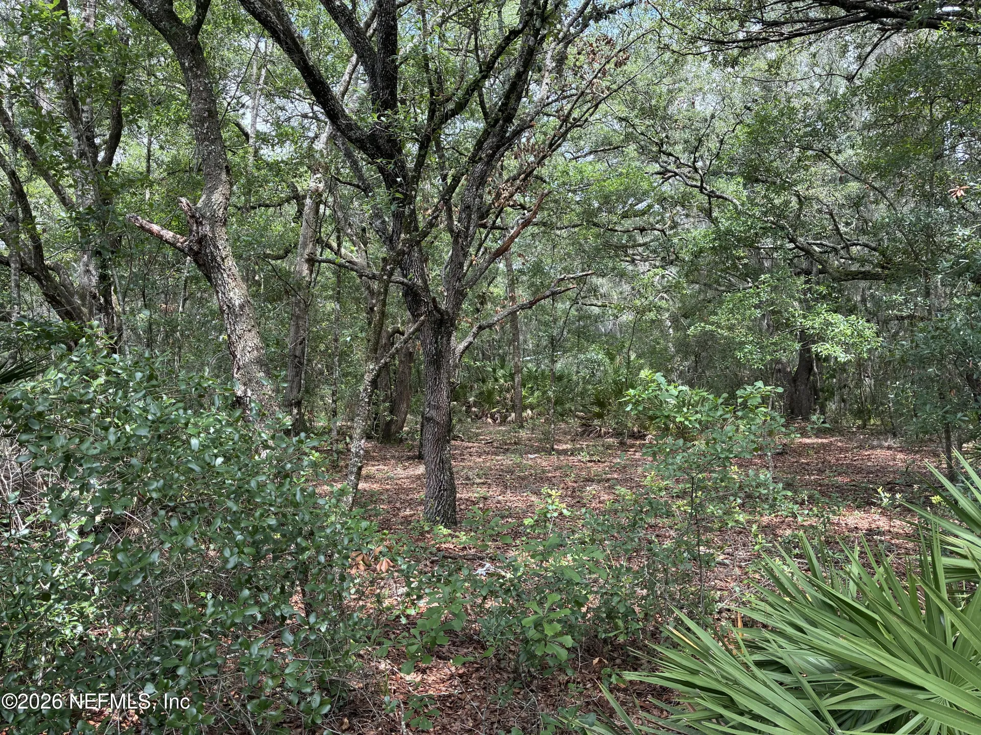 107 Laurel Drive Hawthorne FL 32640