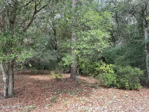 107 Laurel Drive Hawthorne FL 32640