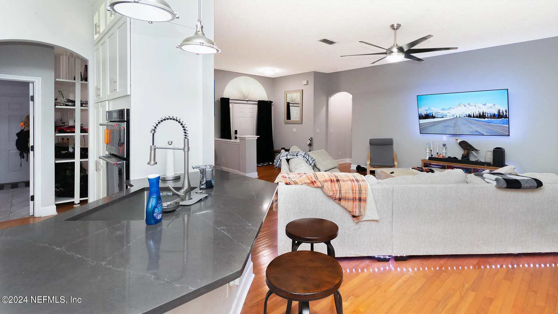 2653 Dalmation Lane E Jacksonville FL 32246
