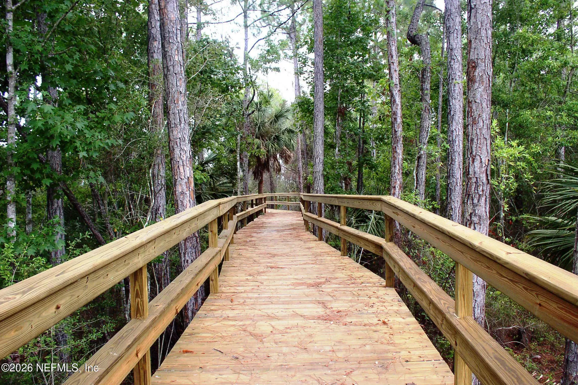 828 Riley Lane St. Augustine FL 32095