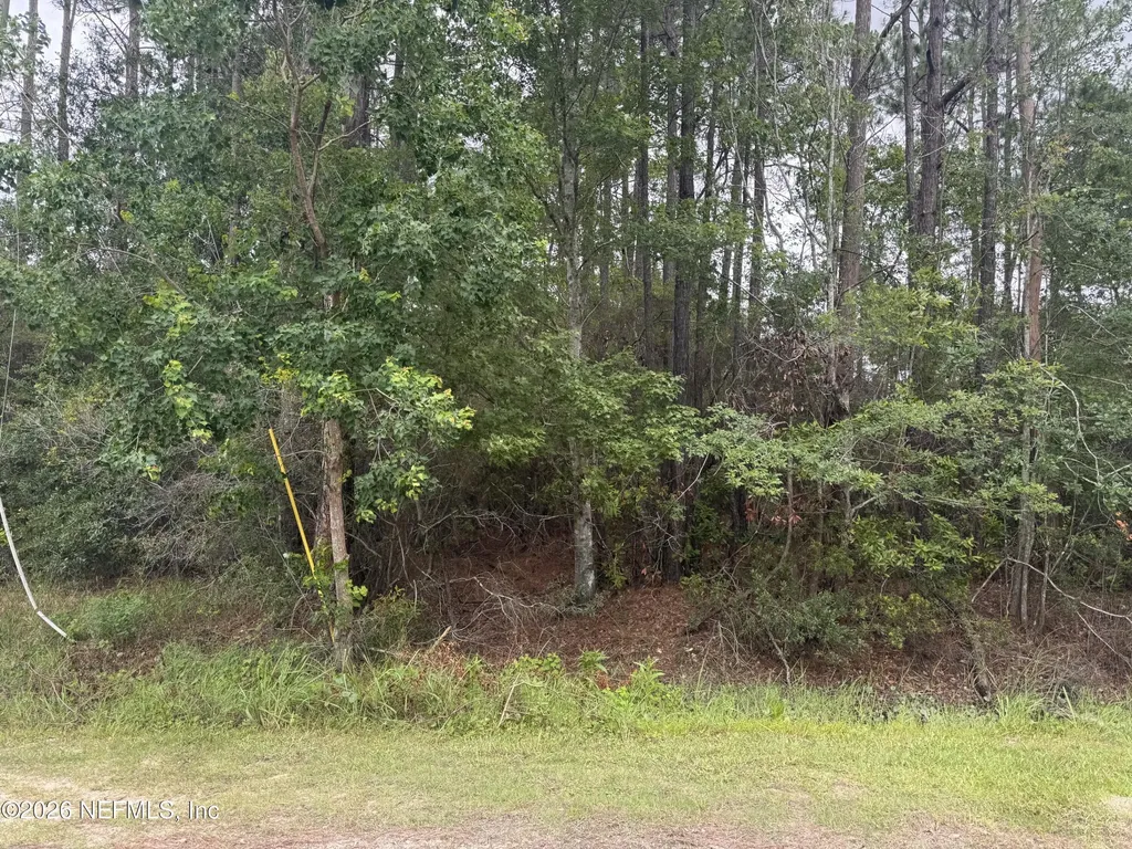0 Village Green Drive Jacksonville FL 32234