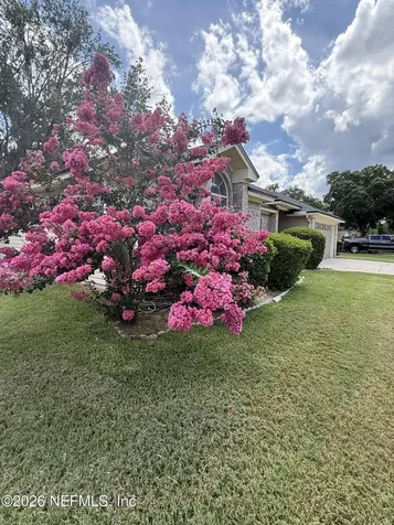 3250 Tea Rose Drive Jacksonville FL 32223