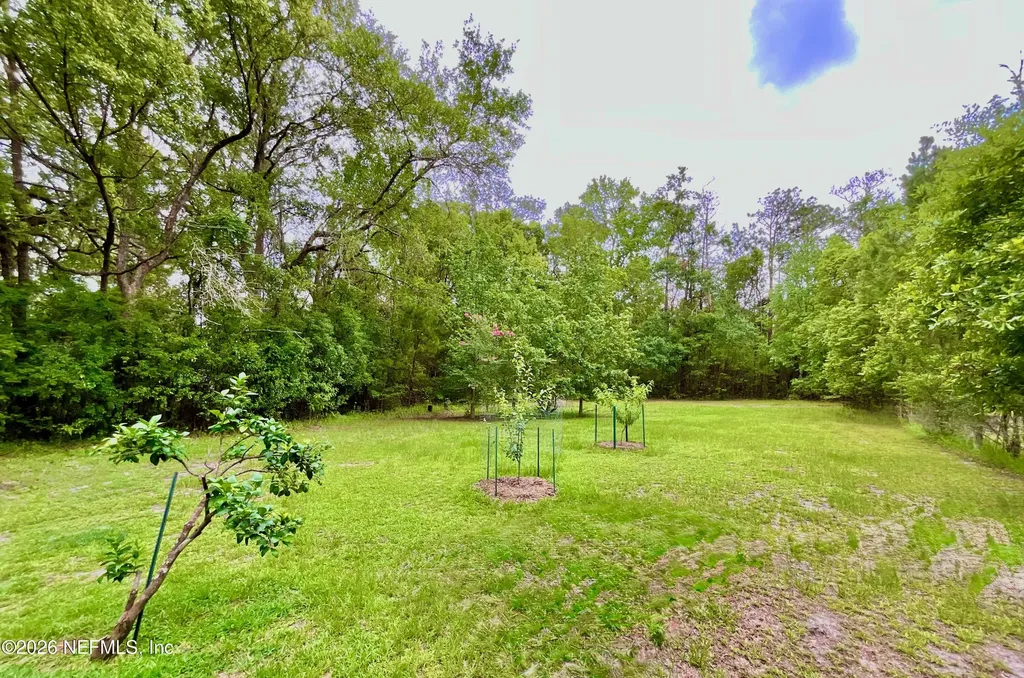 20517 NE 114th Avenue Waldo FL 32694