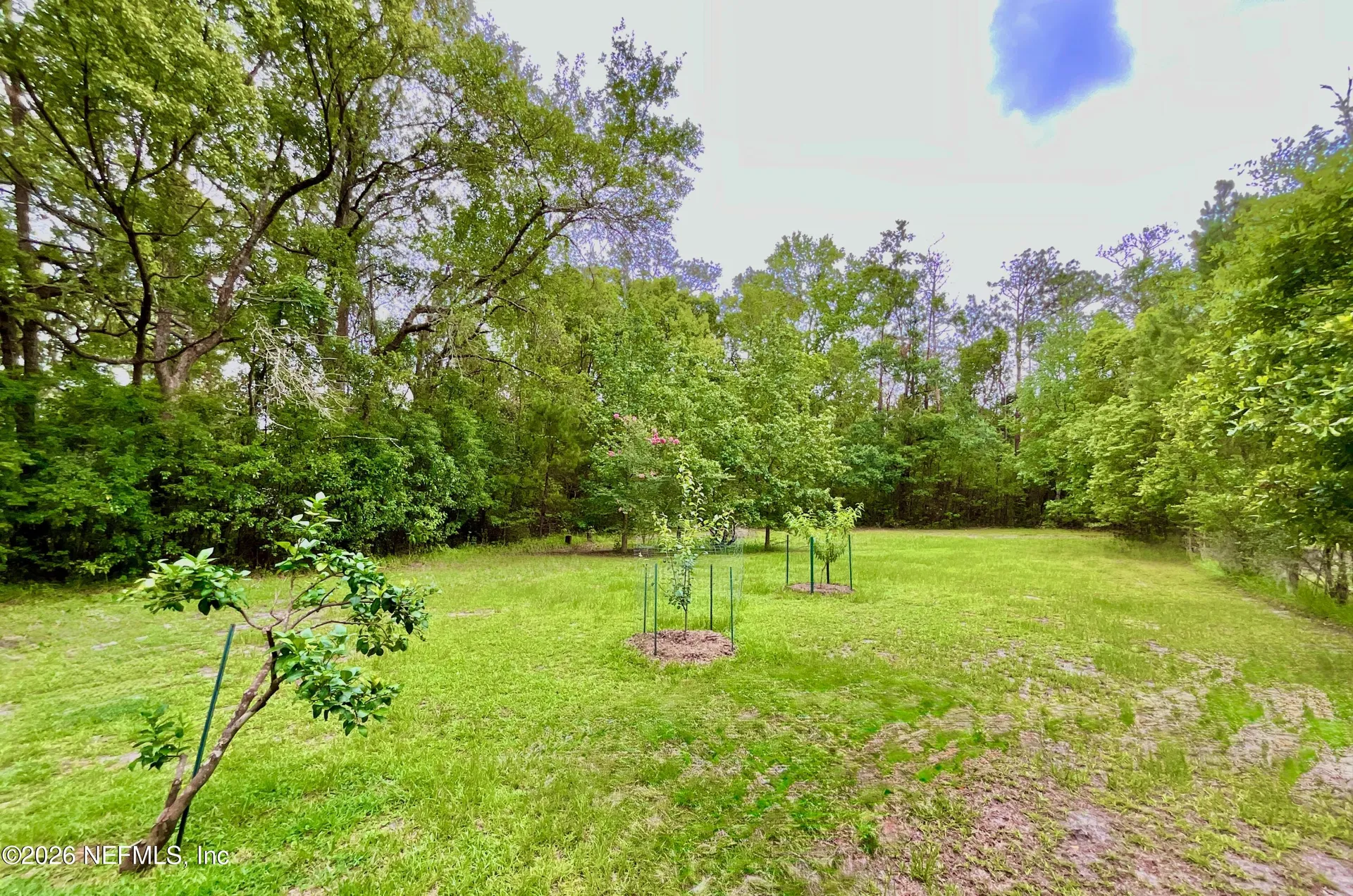 20517 NE 114th Avenue Waldo FL 32694