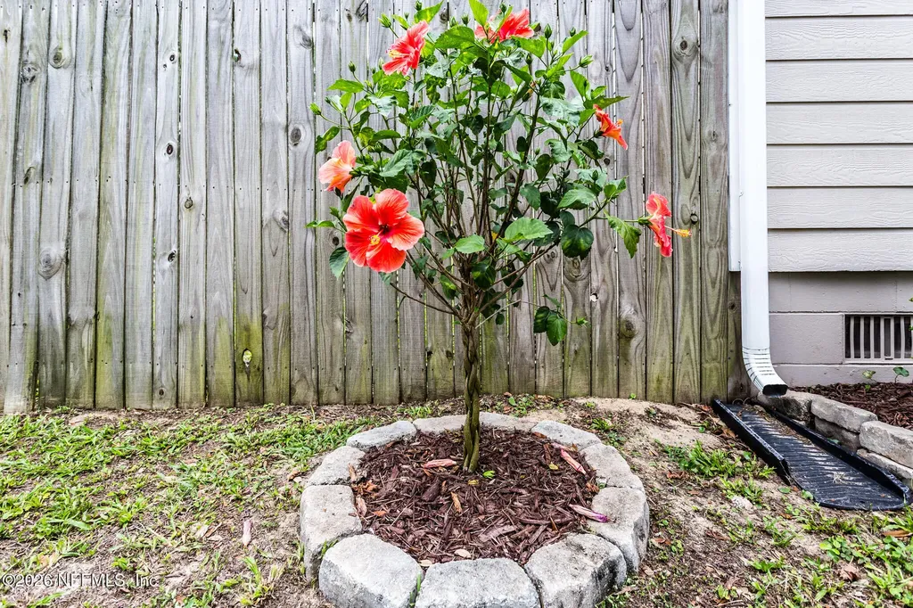 2916 Peach Drive Jacksonville FL 32246