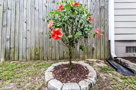 2916 Peach Drive Jacksonville FL 32246
