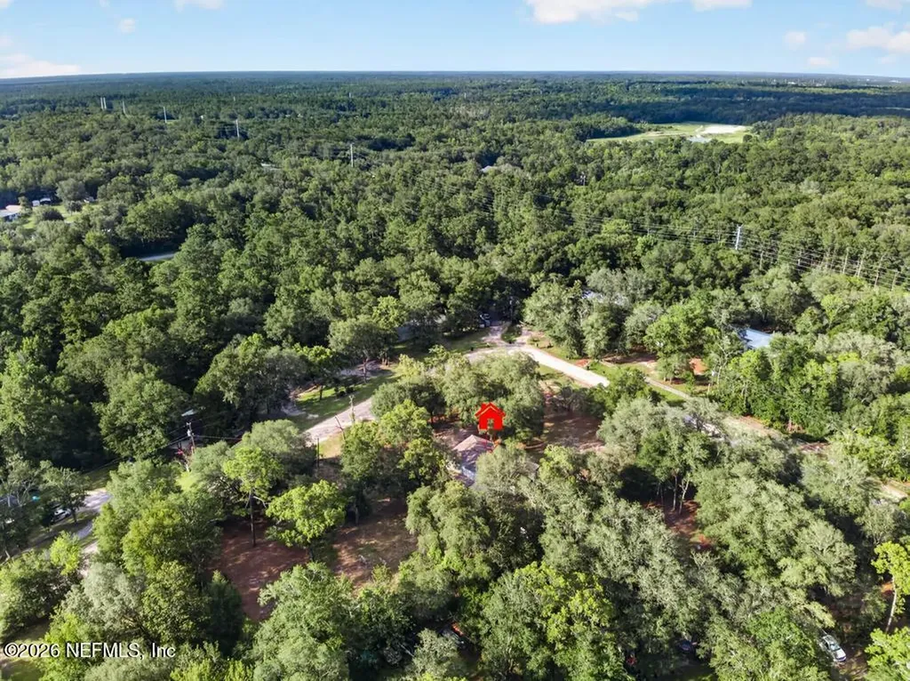 45 Mint Circle Middleburg FL 32068