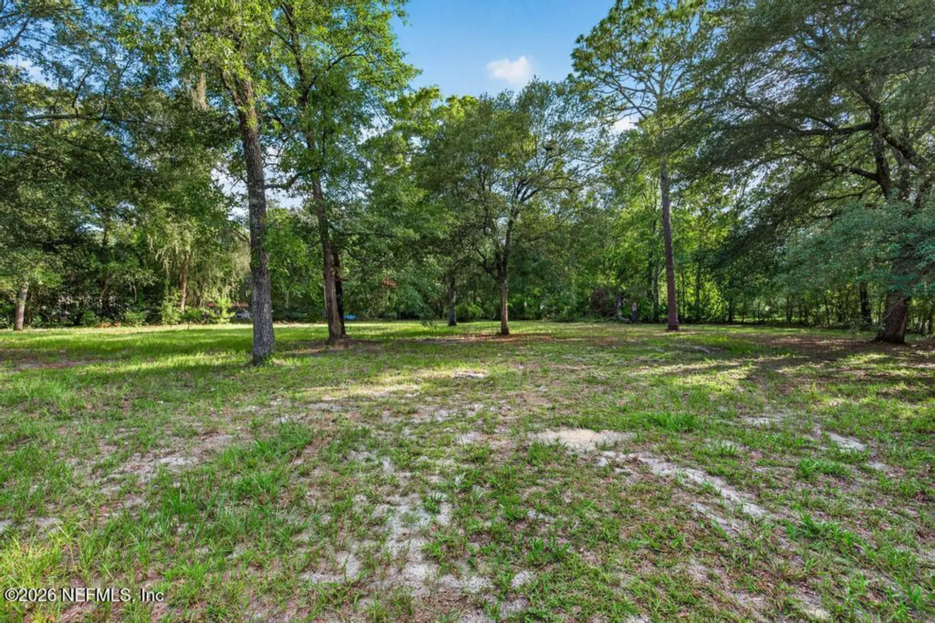 45 Mint Circle Middleburg FL 32068