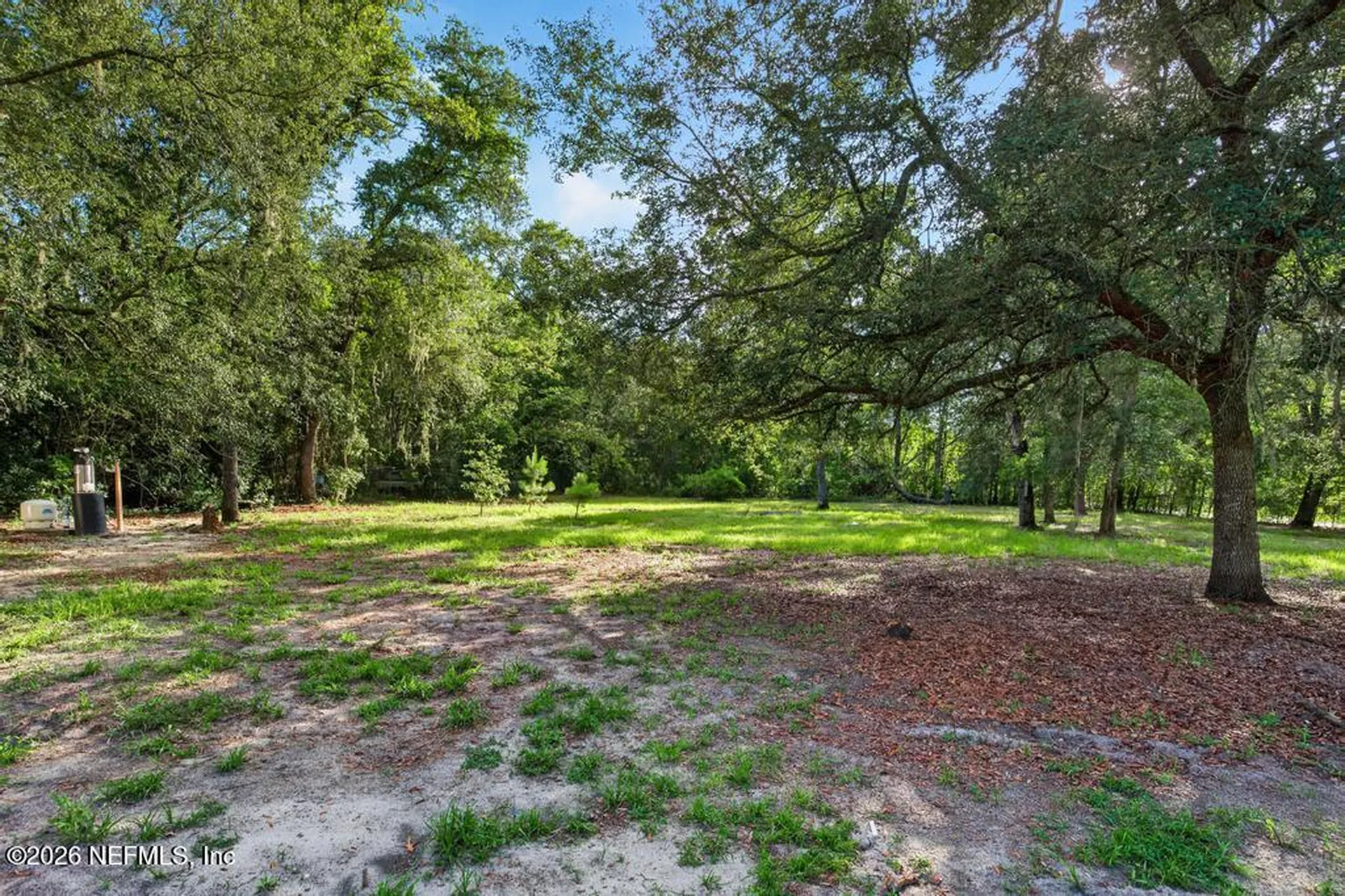 45 Mint Circle Middleburg FL 32068
