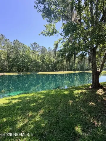 145 Dover Bluff Drive Orange Park FL 32073