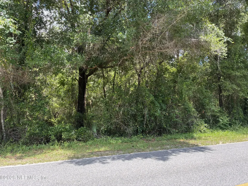 218 Beecher Springs Road Pomona Park FL 32181