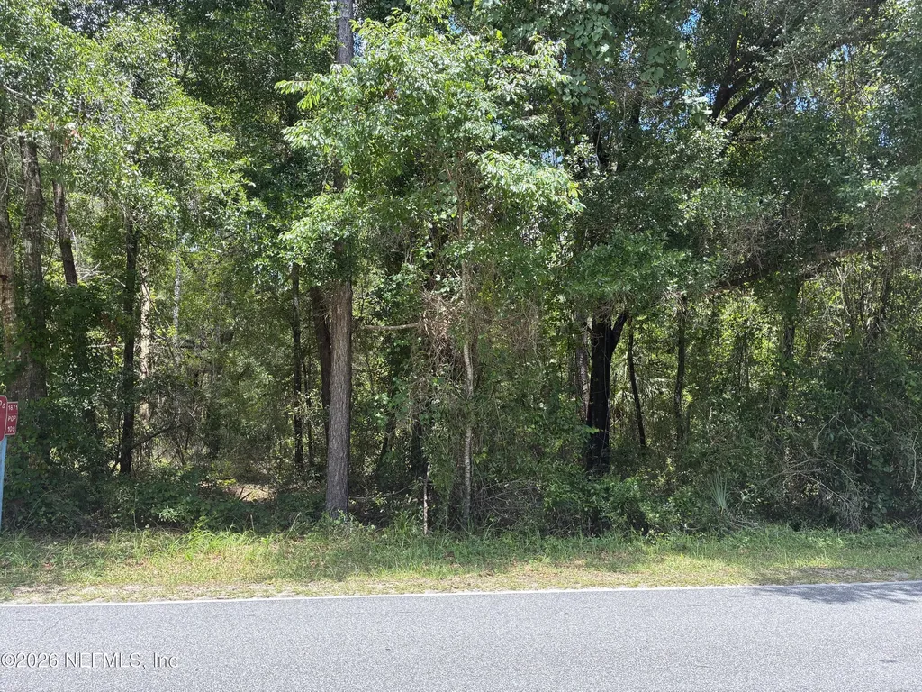 218 Beecher Springs Road Pomona Park FL 32181