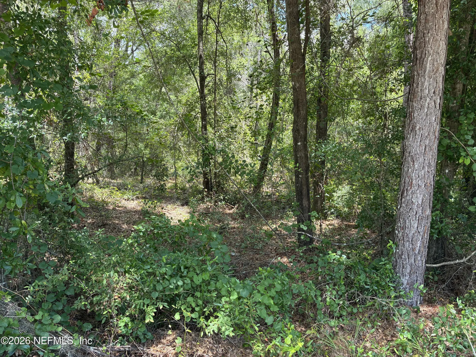 218 Beecher Springs Road Pomona Park FL 32181