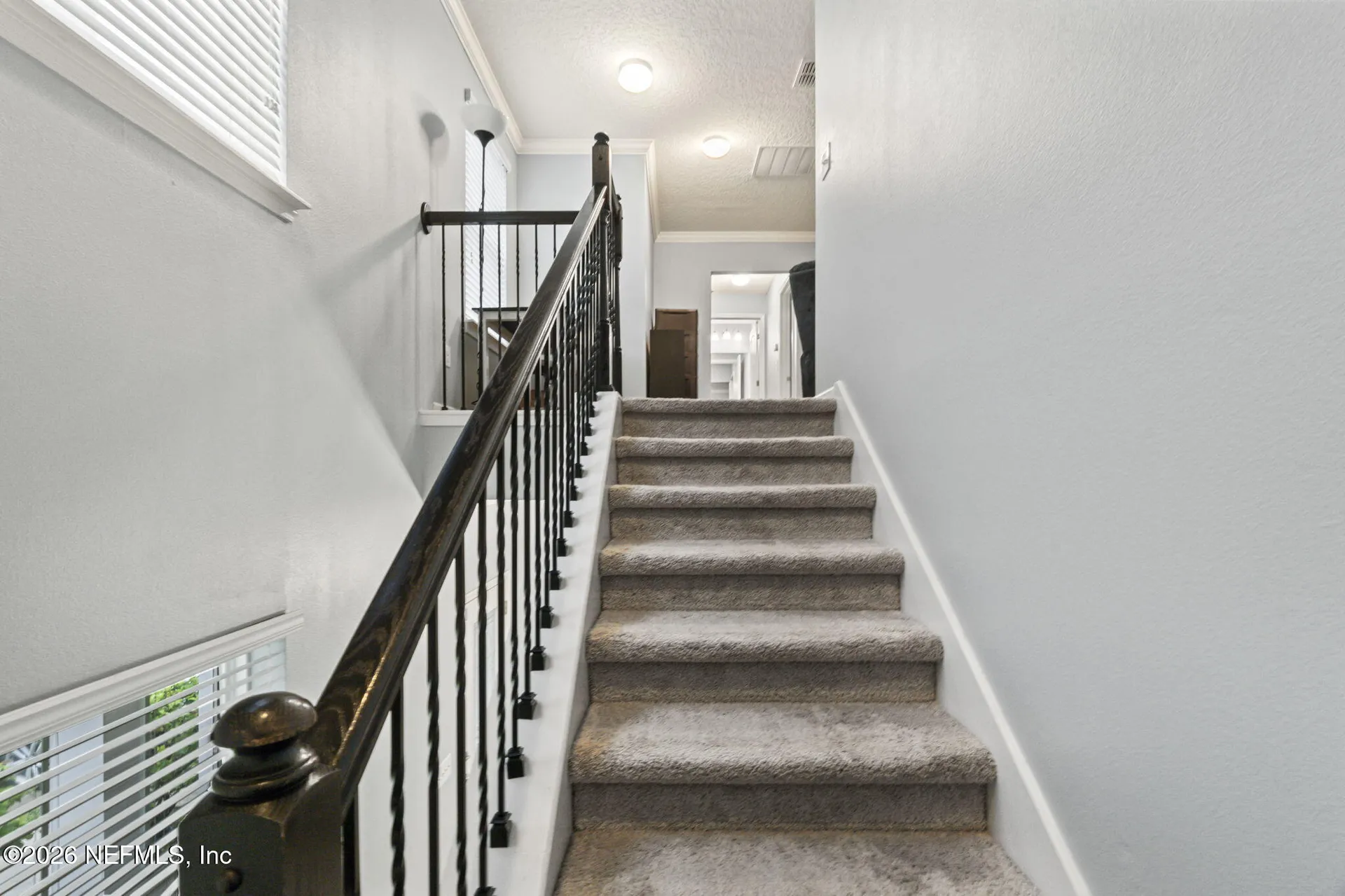 531 Colorado Springs Way St. Augustine FL 32092
