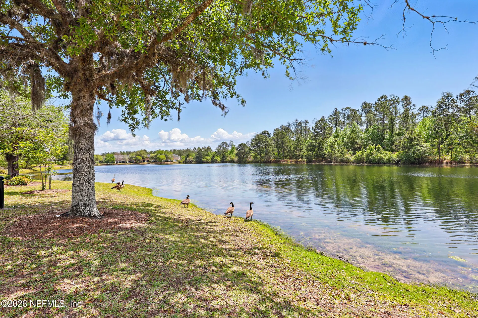 756 Grover Lane Orange Park FL 32065