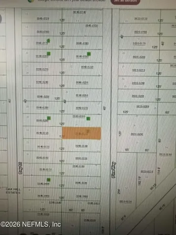0 Bay Street Interlachen FL 32148