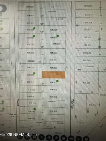 0 Bay Street Interlachen FL 32148