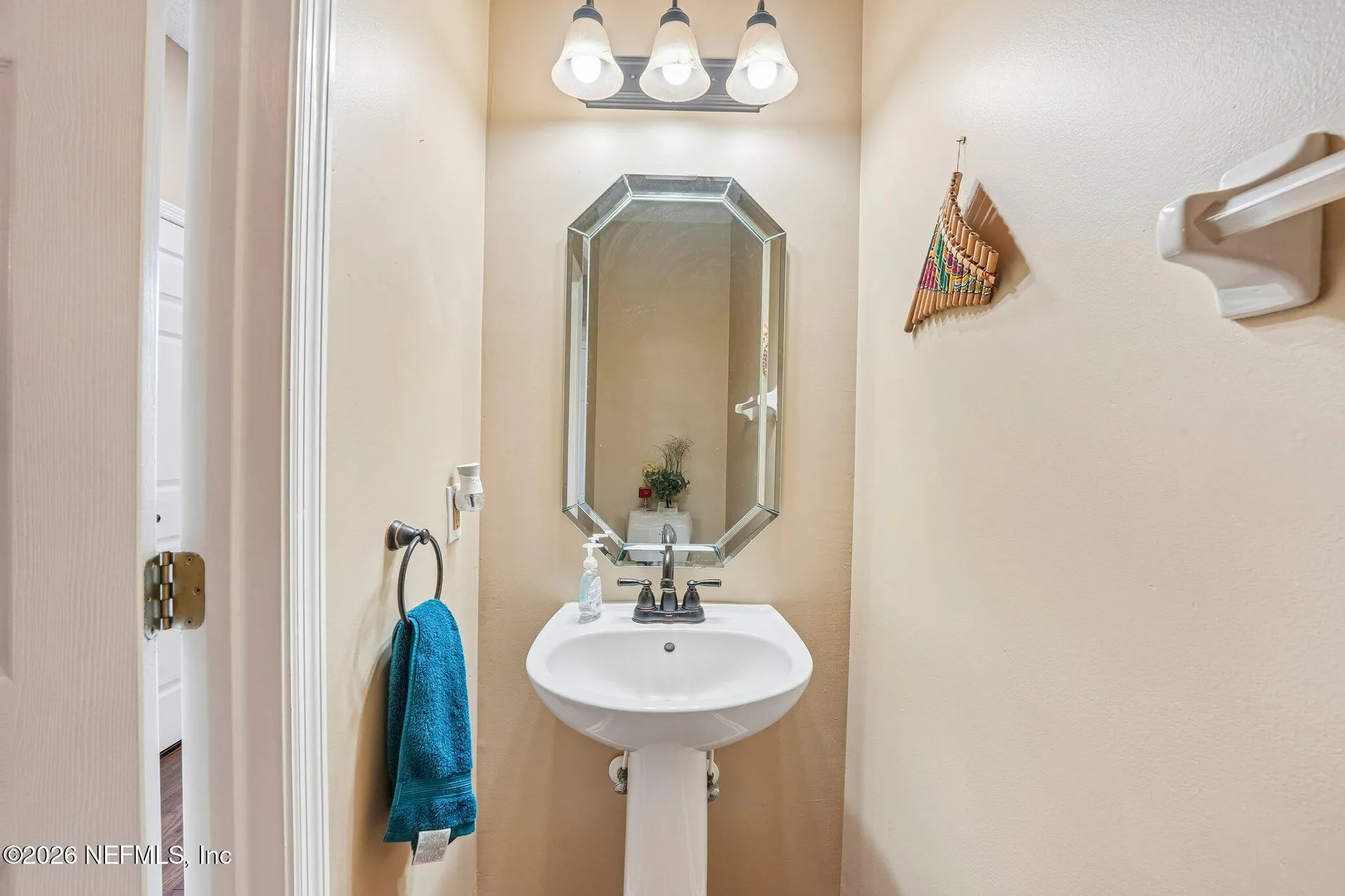 1629 Sandy Springs Drive Fleming Island FL 32003