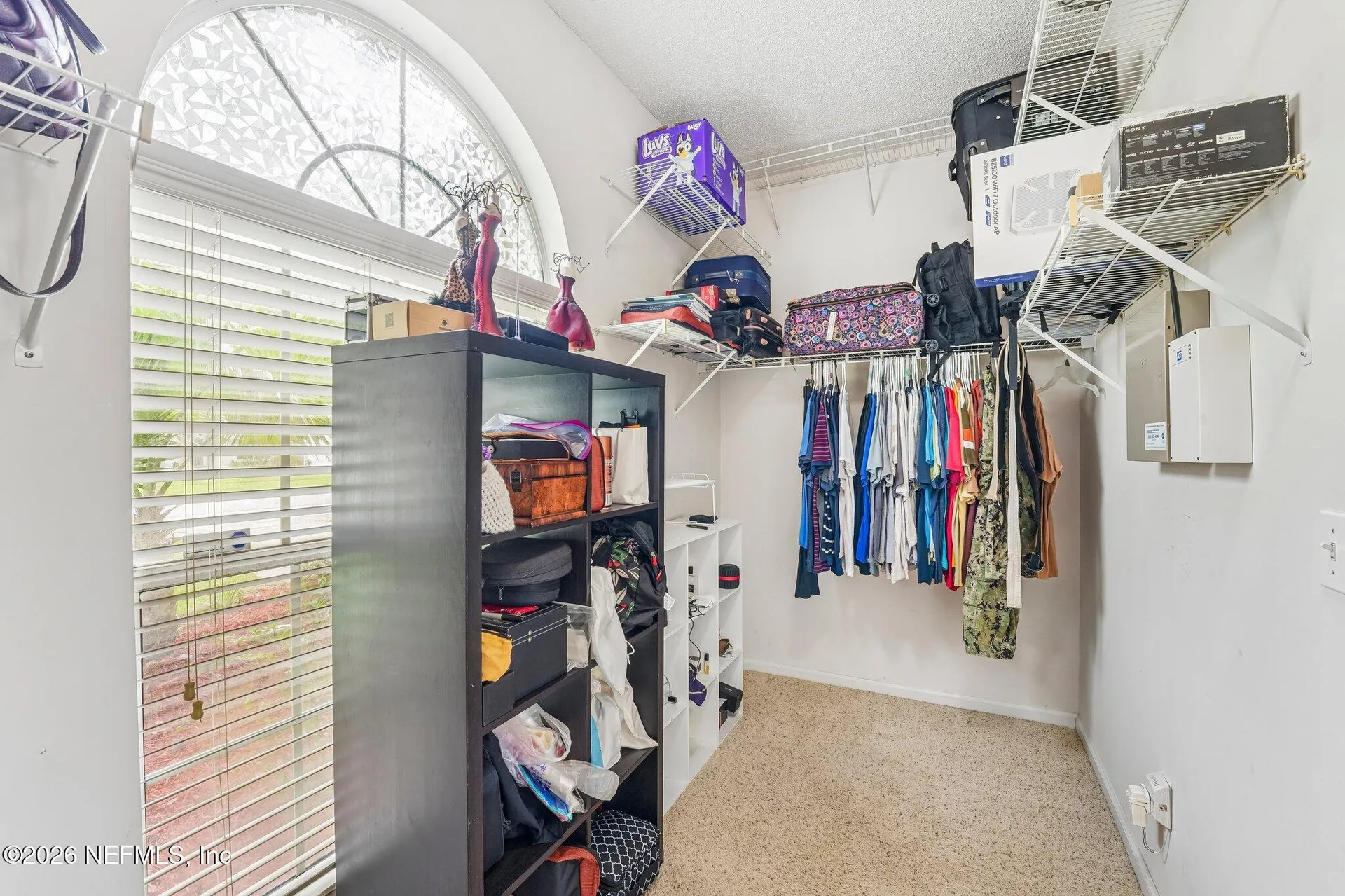 1629 Sandy Springs Drive Fleming Island FL 32003