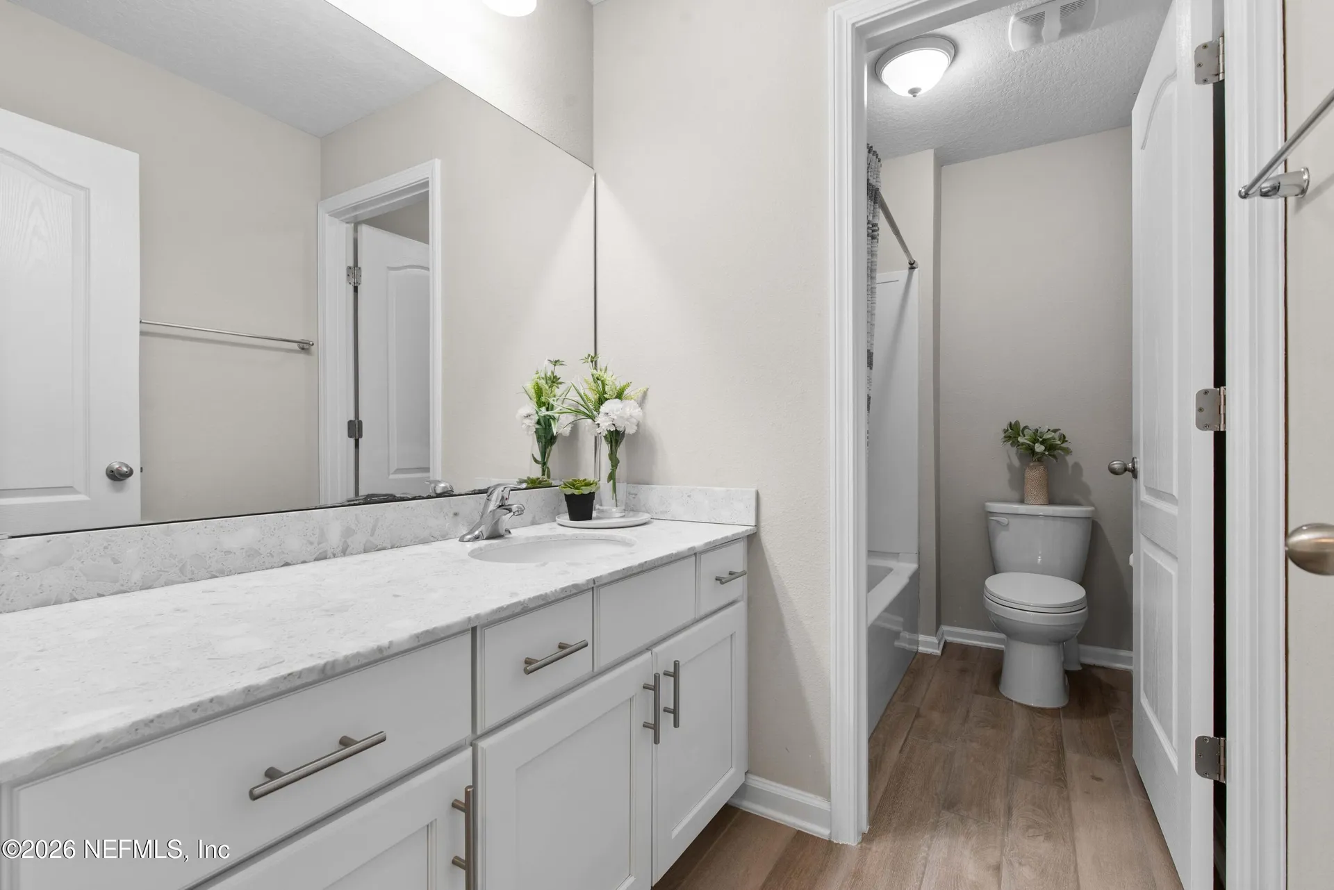 3906 Heatherbrook Place Middleburg FL 32068