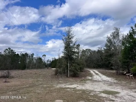 11466 Sr 51 Live Oak FL 32060