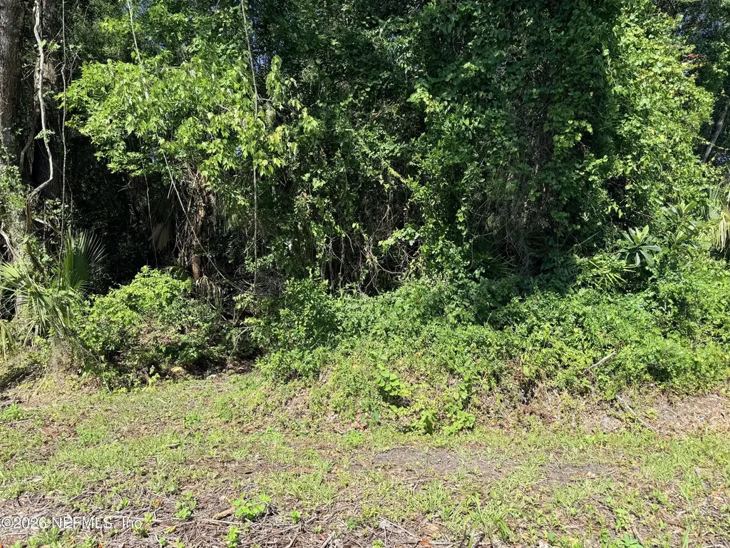 115 Harris Street Palatka FL 32177