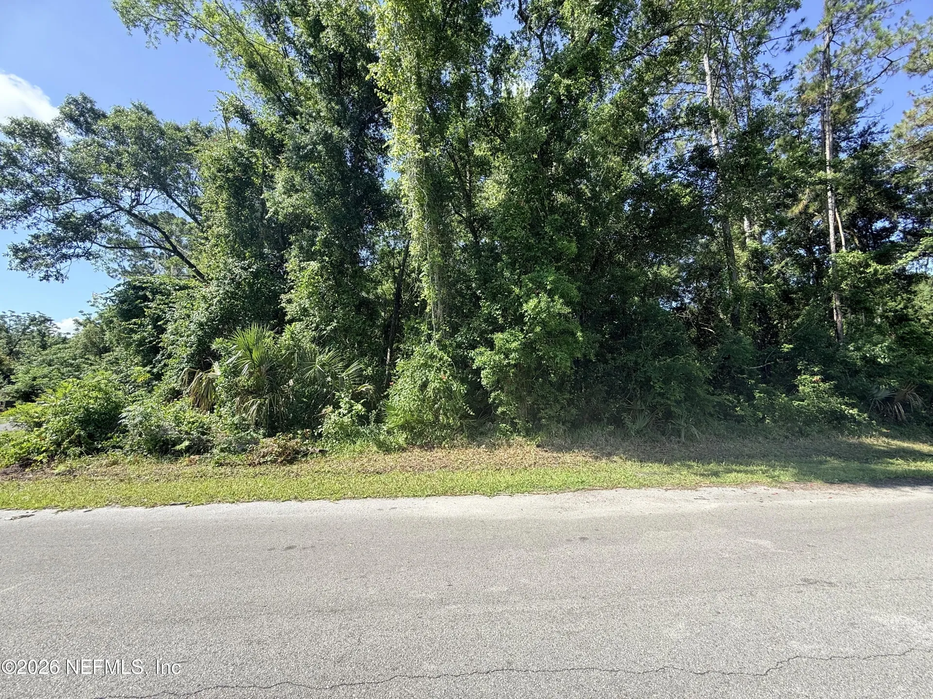 115 Harris Street Palatka FL 32177