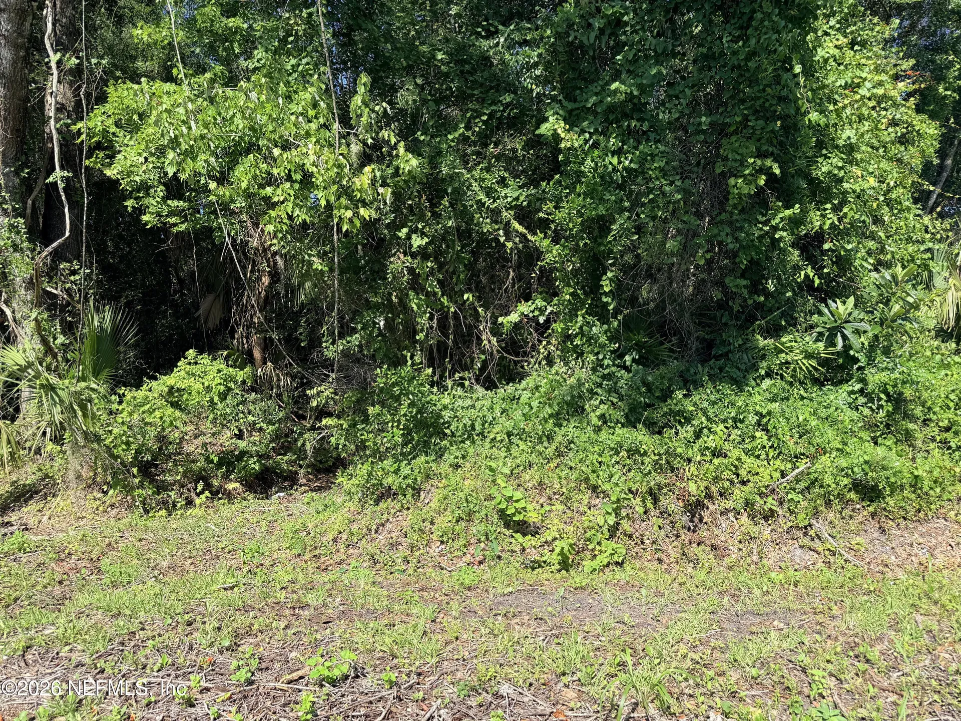 115 Harris Street Palatka FL 32177