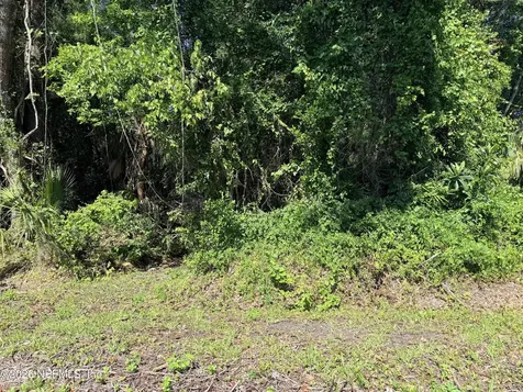 115 Harris Street Palatka FL 32177
