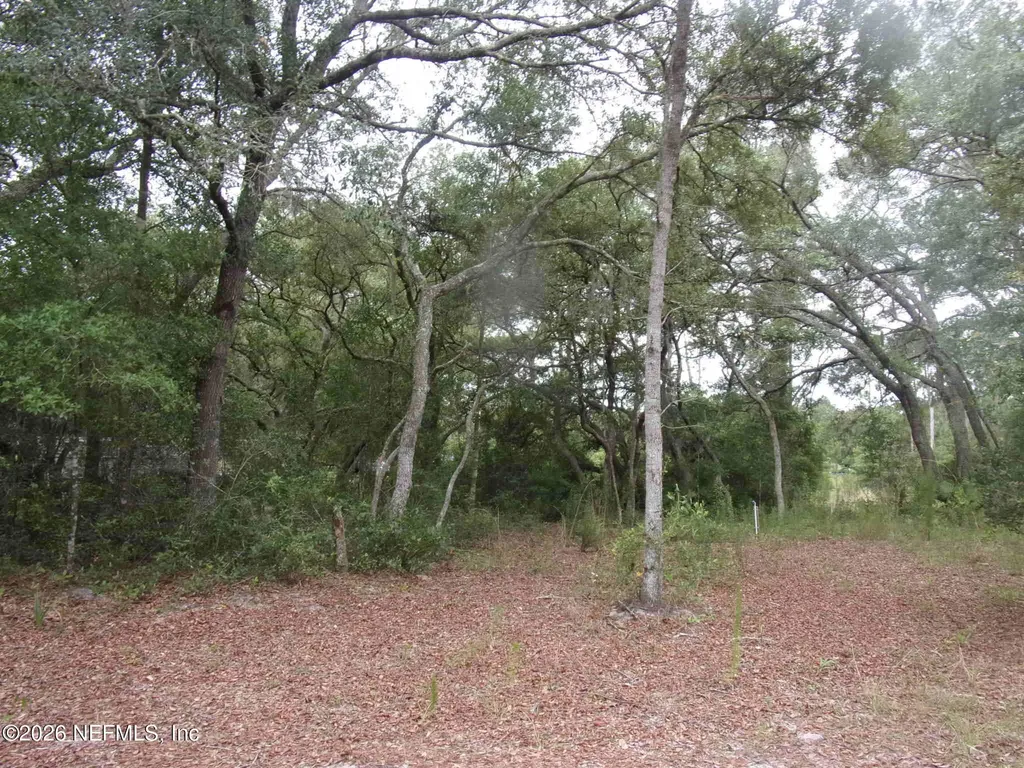 164 Lake Circle Satsuma FL 32189