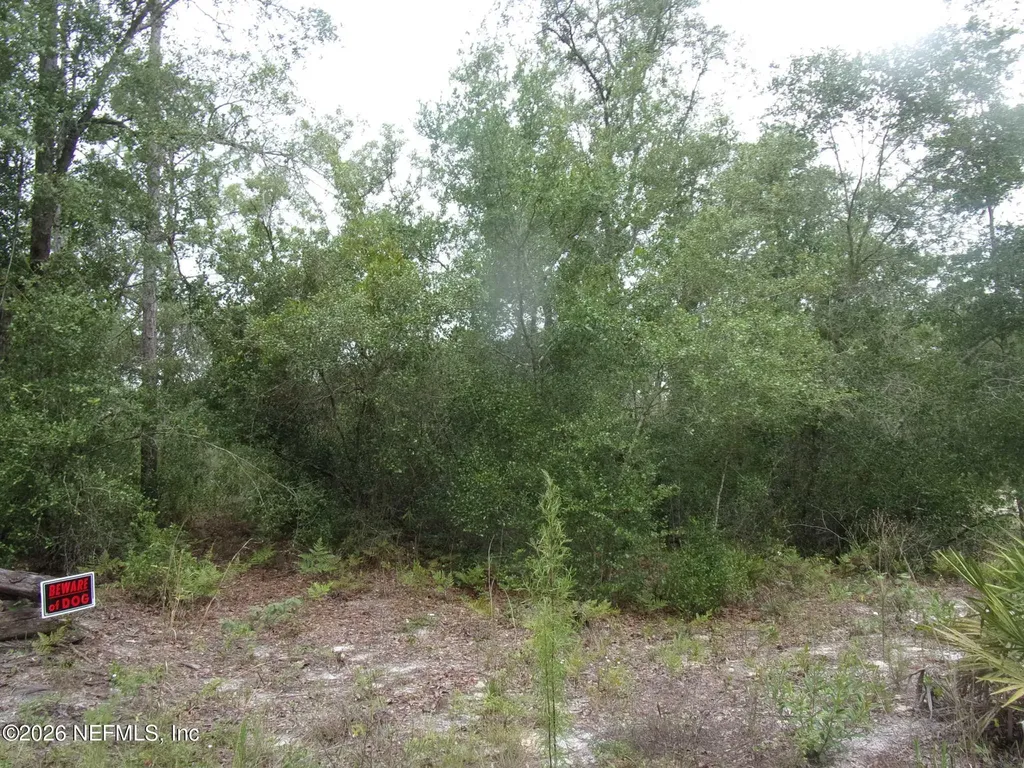 164 Lake Circle Satsuma FL 32189
