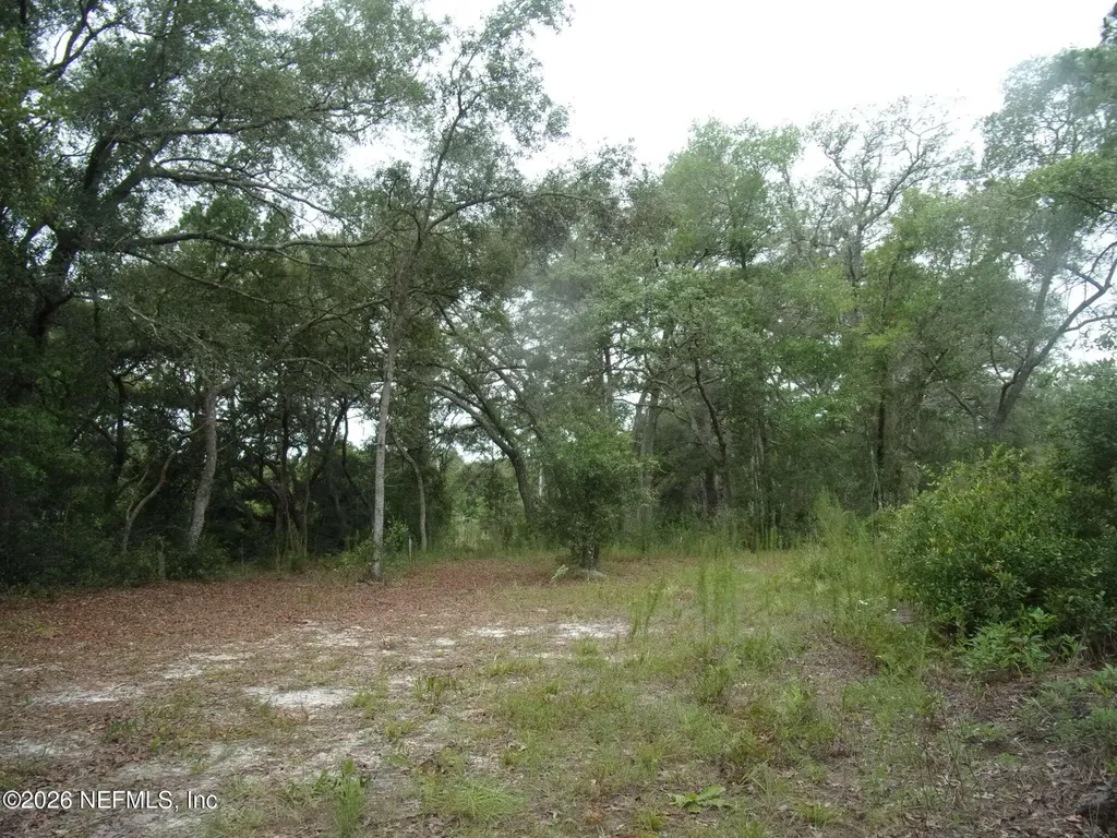164 Lake Circle Satsuma FL 32189