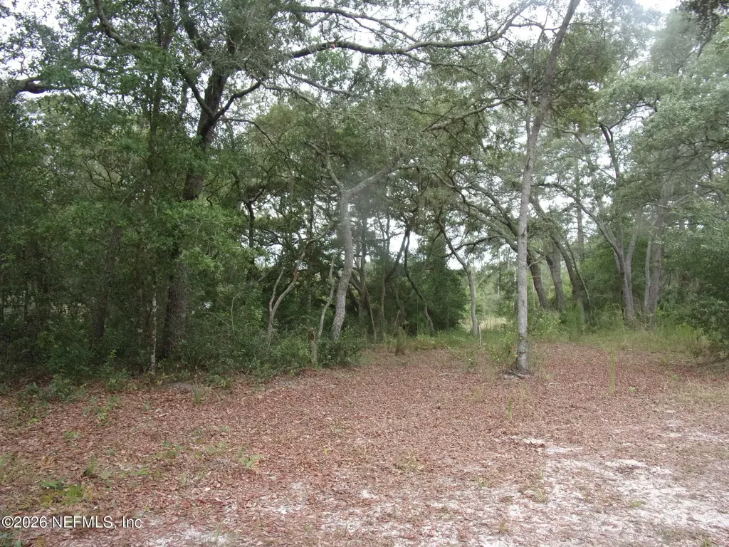164 Lake Circle Satsuma FL 32189