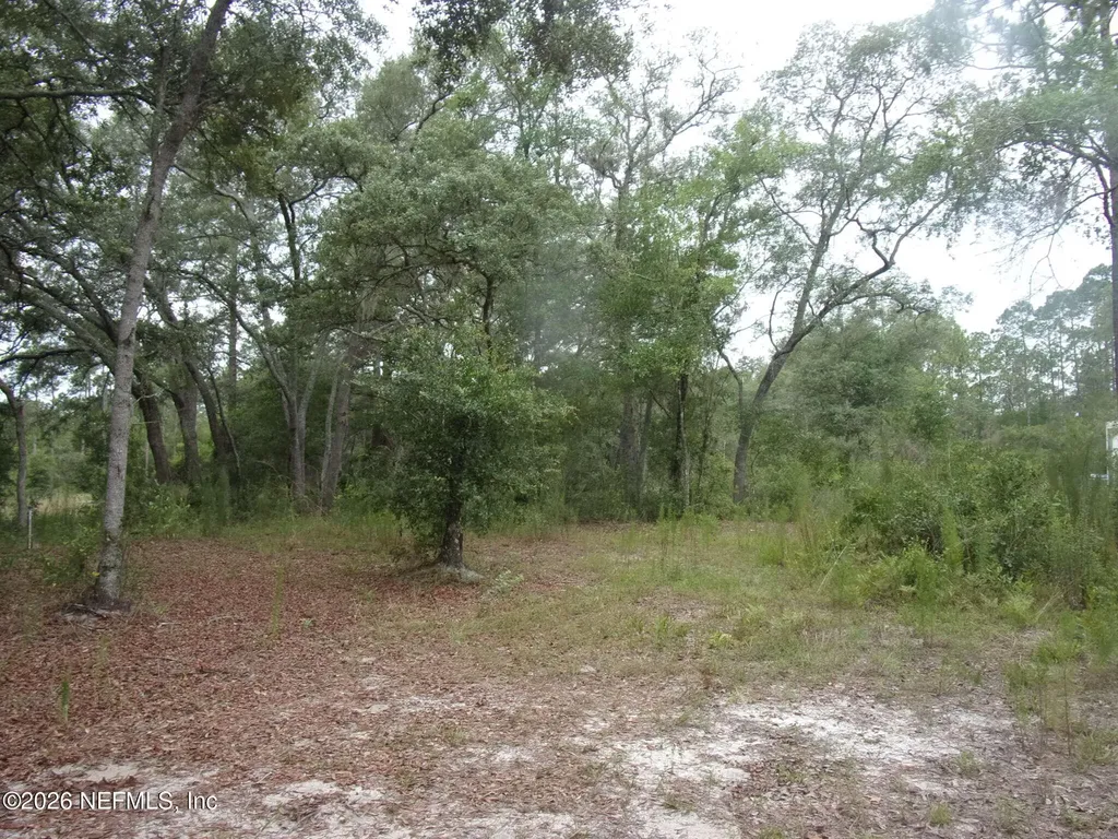 164 Lake Circle Satsuma FL 32189