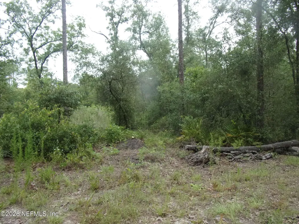 164 Lake Circle Satsuma FL 32189