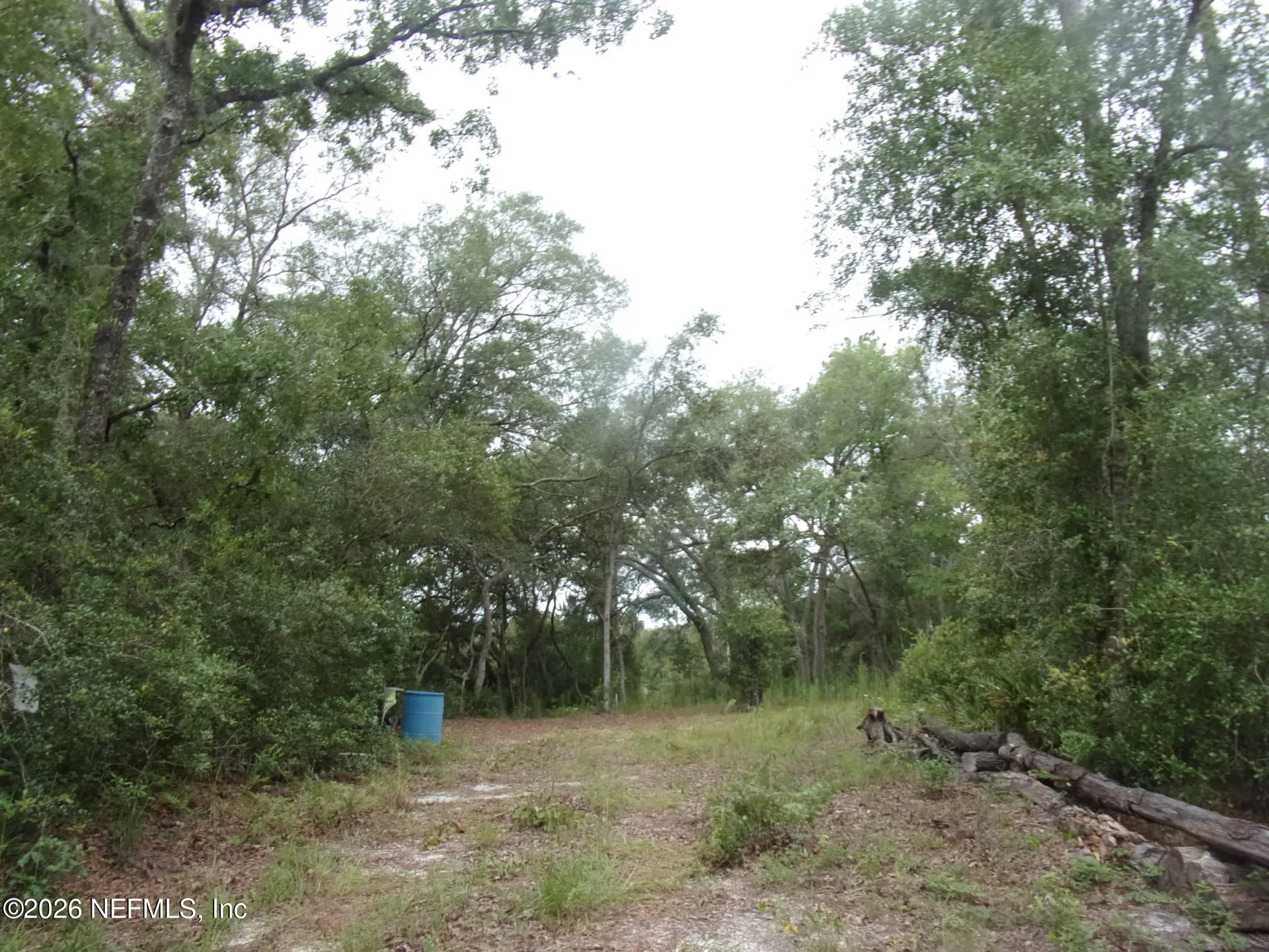 164 Lake Circle Satsuma FL 32189