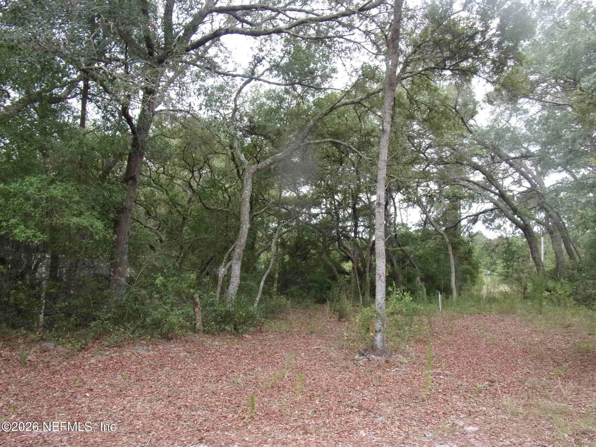 164 Lake Circle Satsuma FL 32189