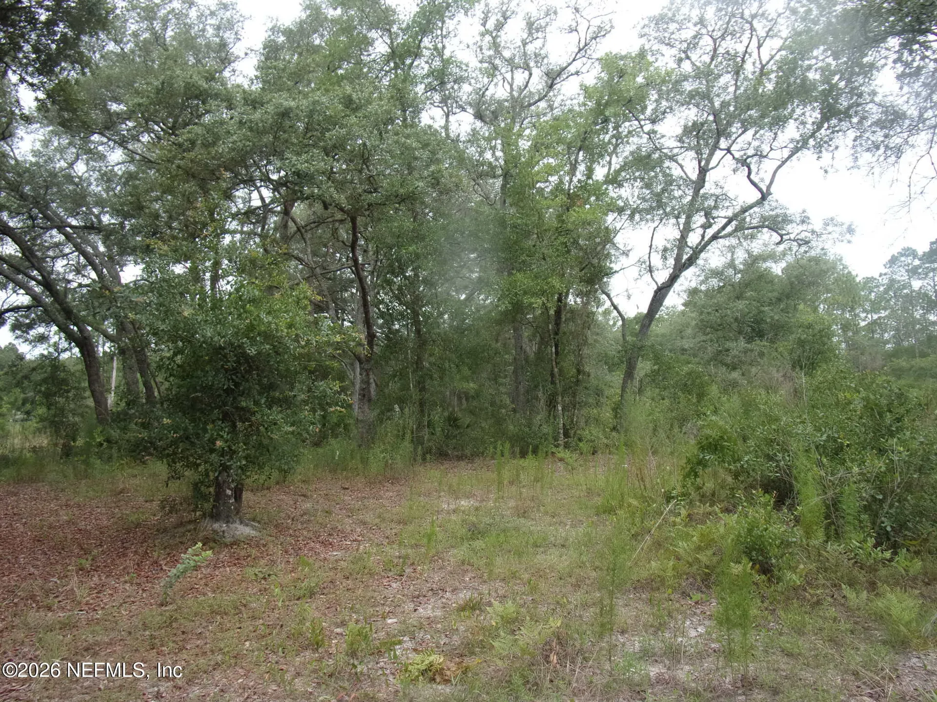 164 Lake Circle Satsuma FL 32189