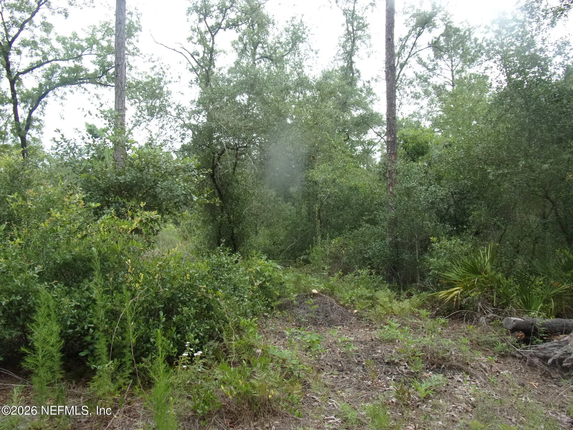 164 Lake Circle Satsuma FL 32189