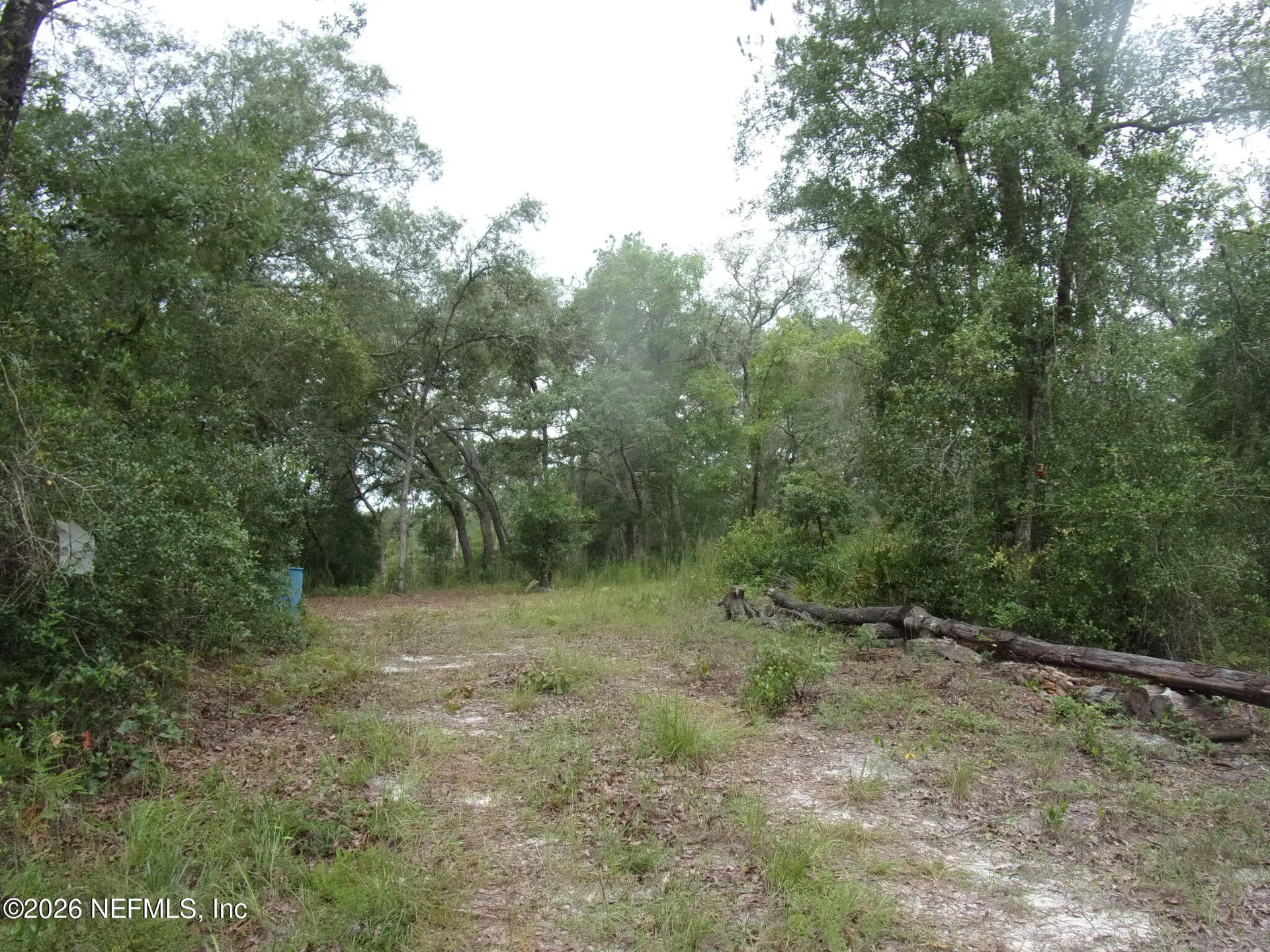 164 Lake Circle Satsuma FL 32189