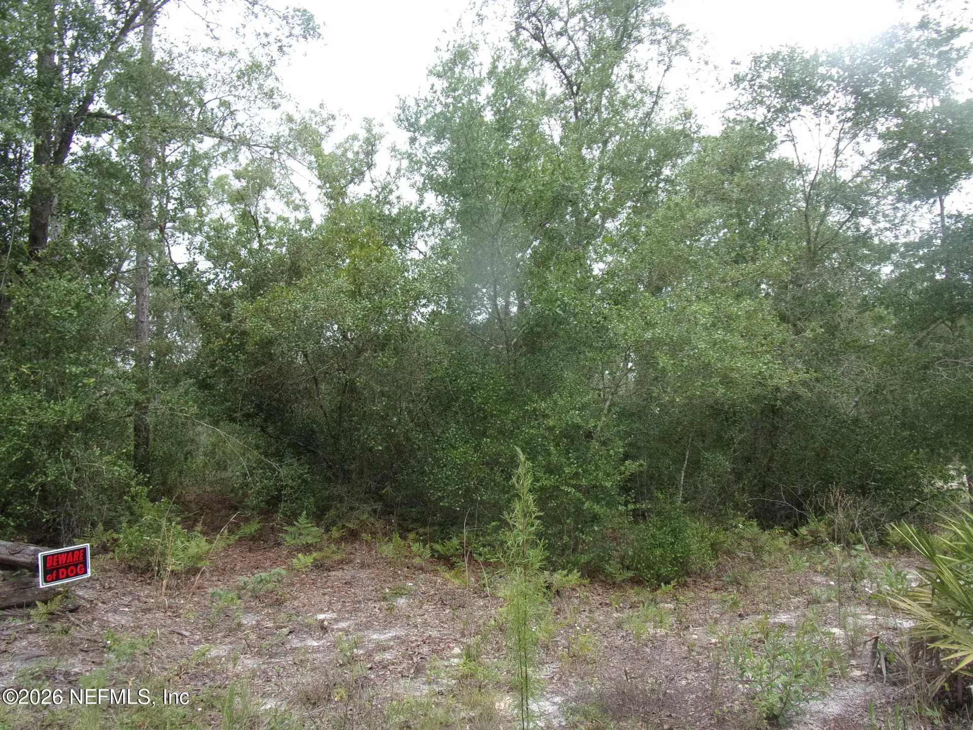 164 Lake Circle Satsuma FL 32189