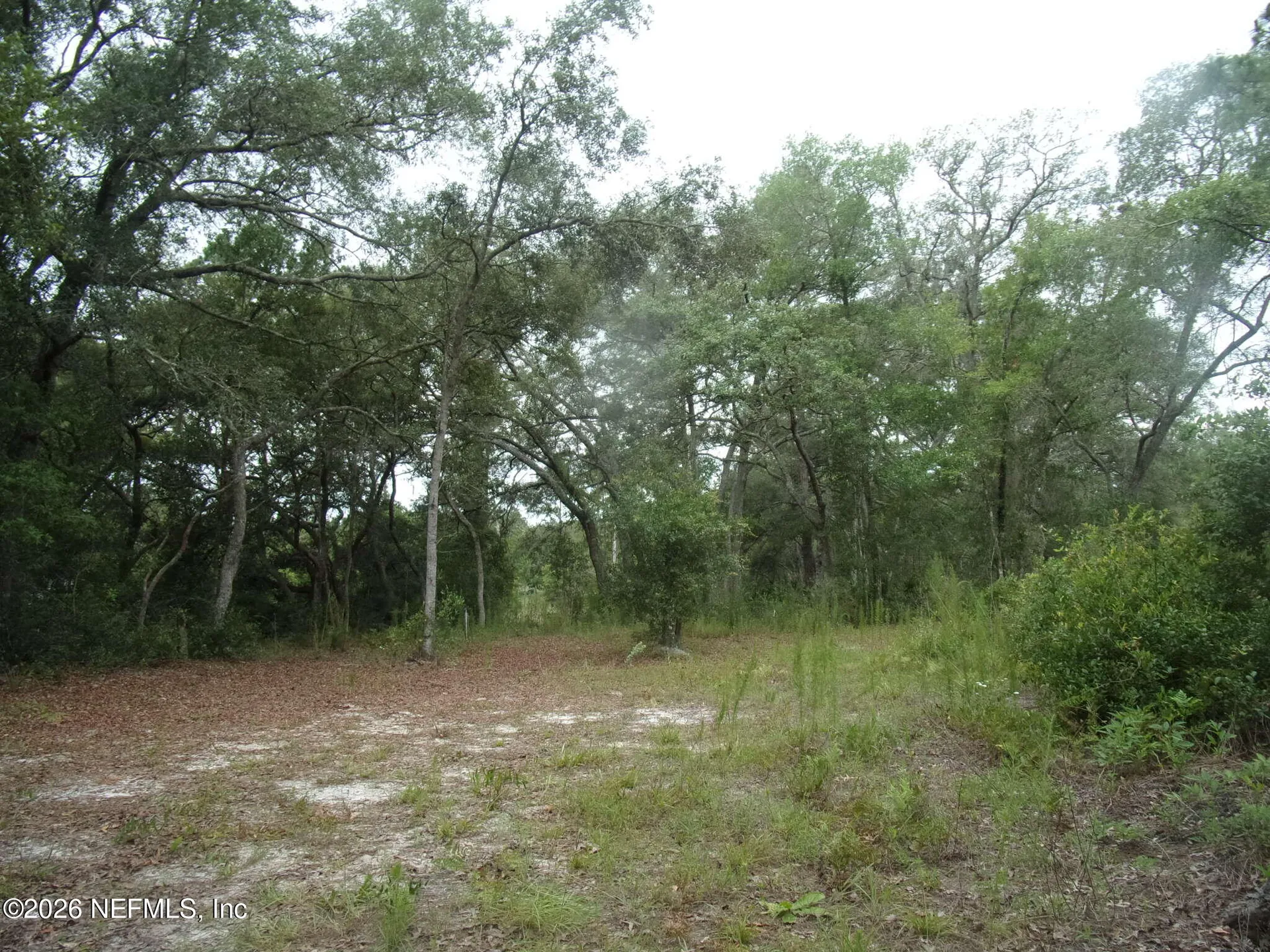 164 Lake Circle Satsuma FL 32189