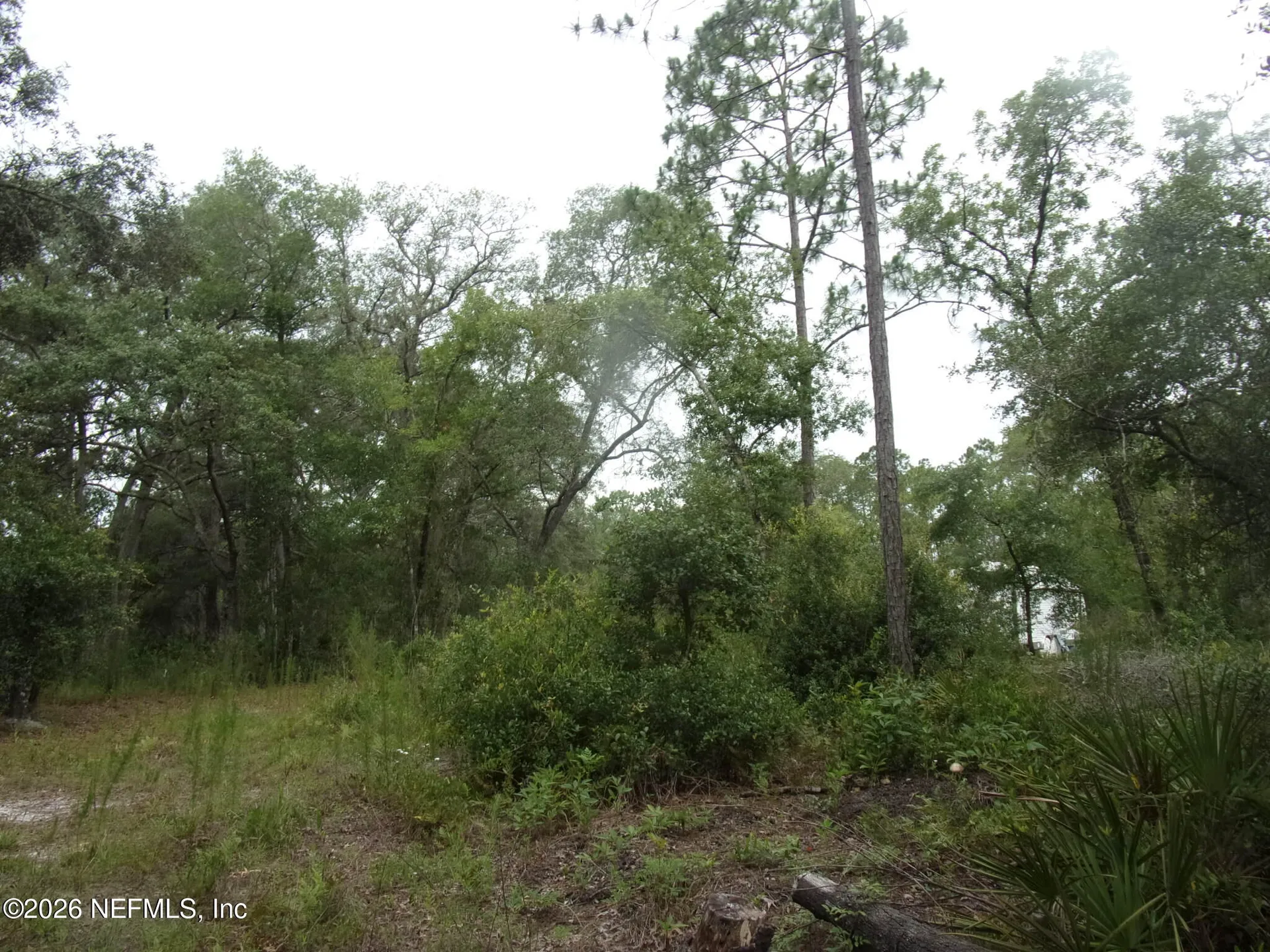 164 Lake Circle Satsuma FL 32189