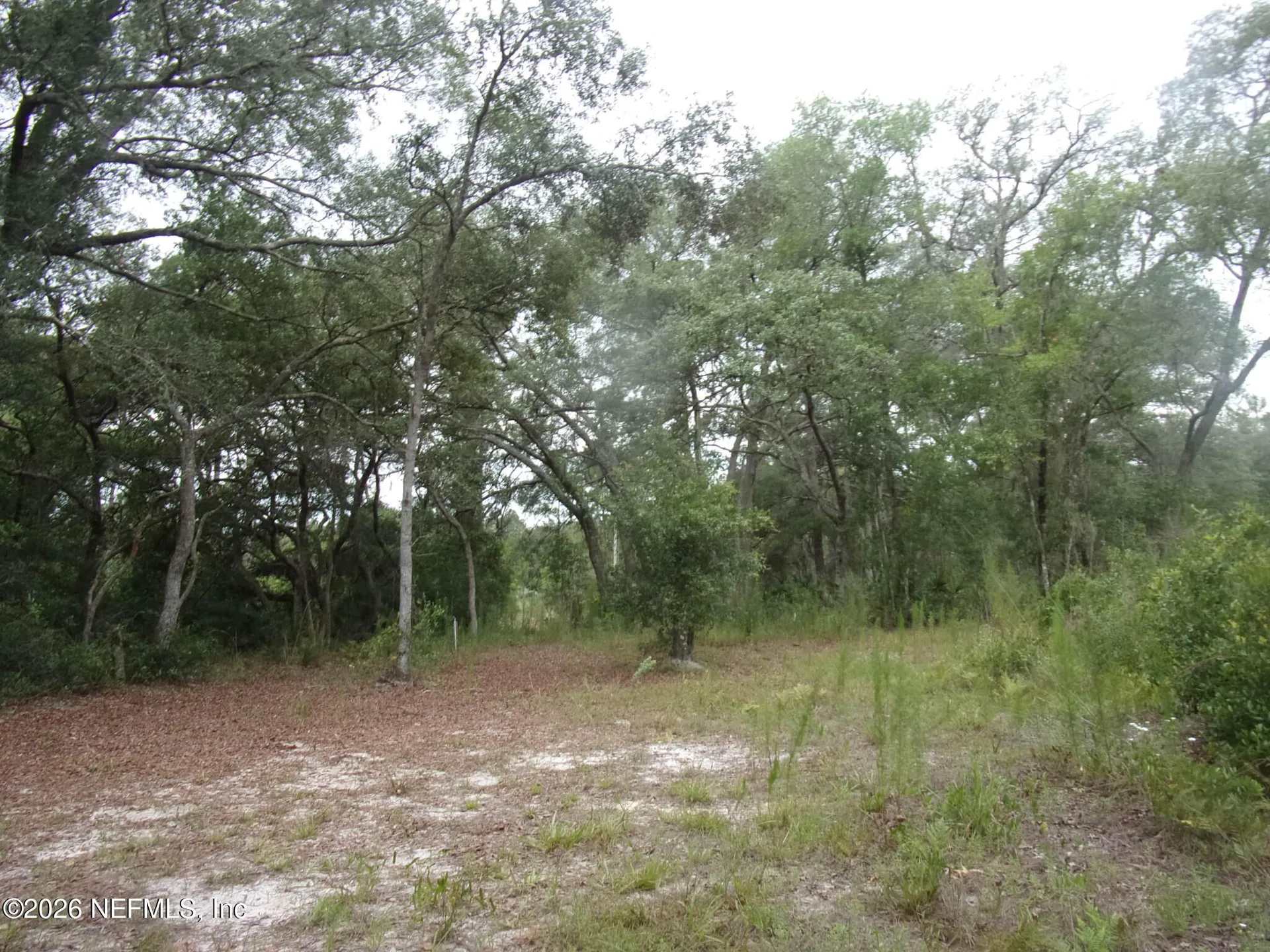 164 Lake Circle Satsuma FL 32189