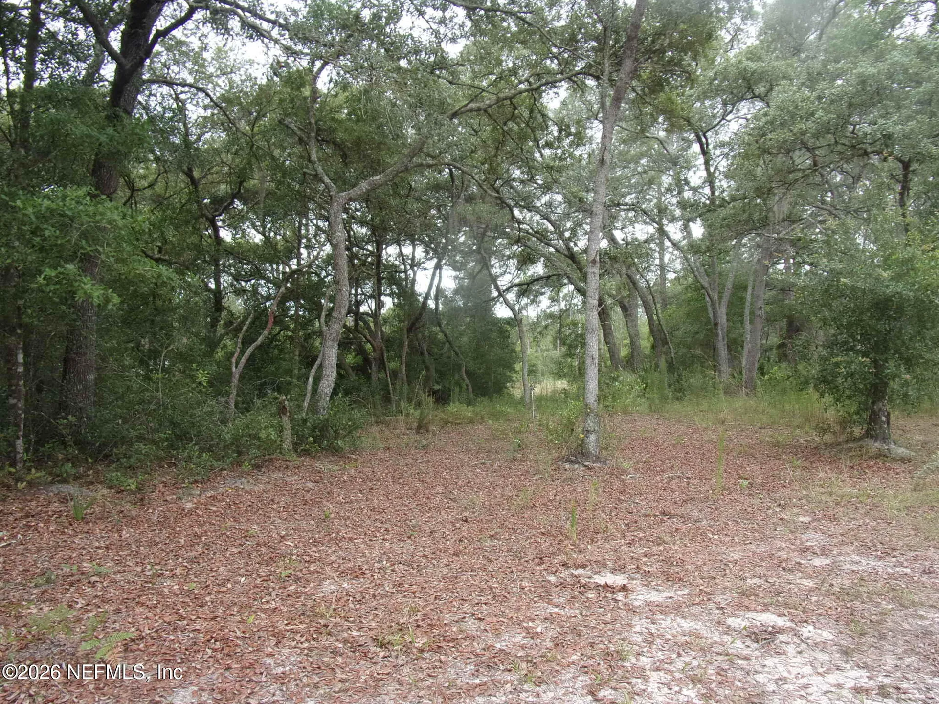 164 Lake Circle Satsuma FL 32189